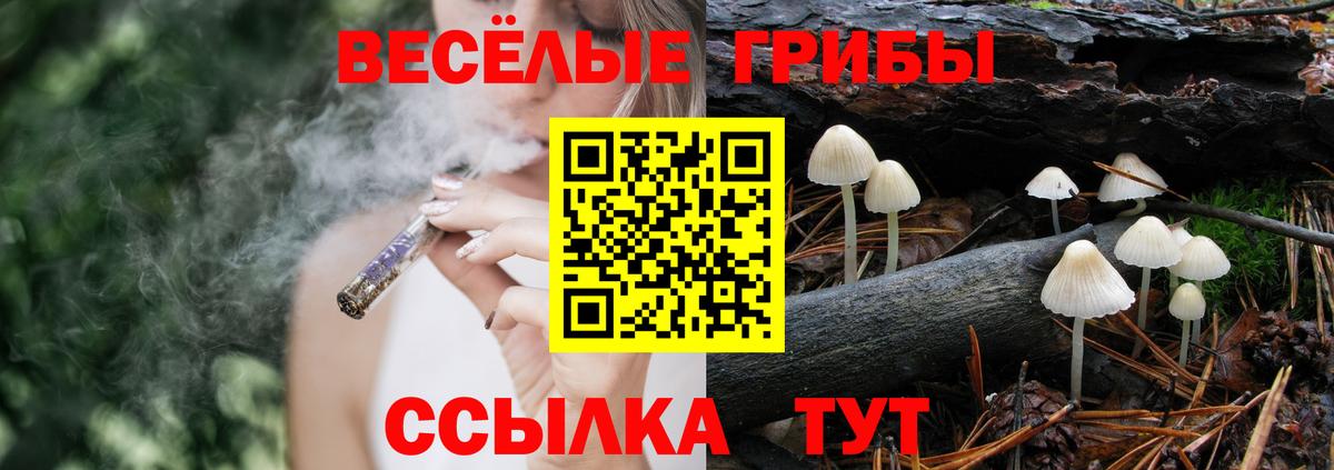Псилоцибиновые грибы MAGIC MUSHROOMS Бор